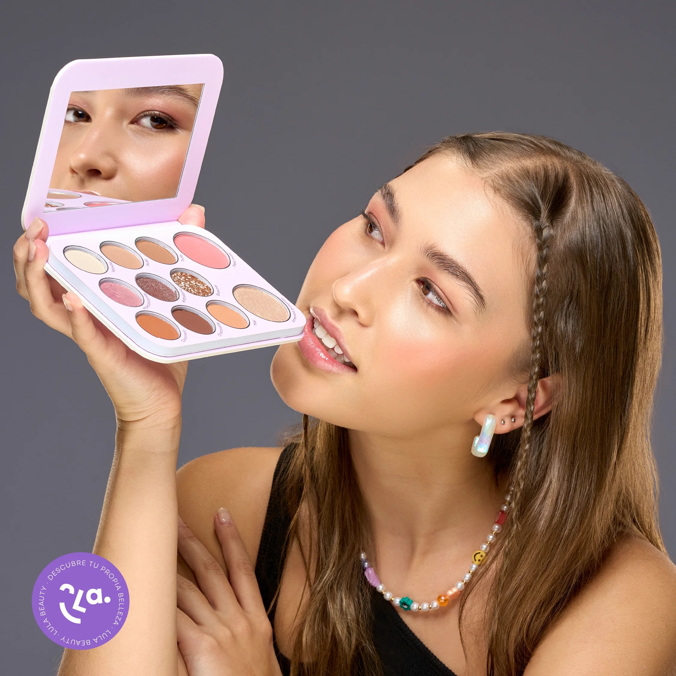 Paleta Todo en 1 Lula