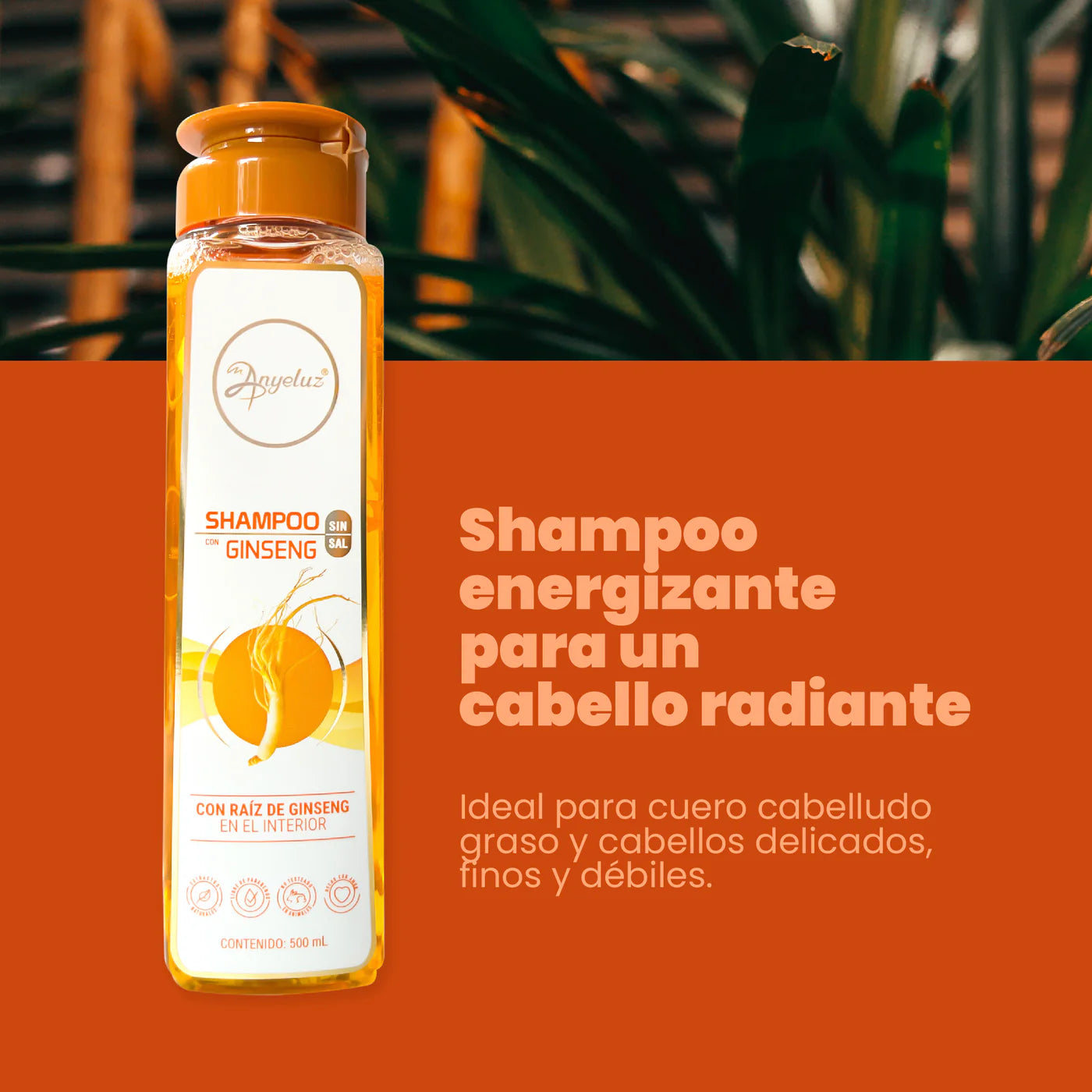 Shampoo ginsen Anyeluz
