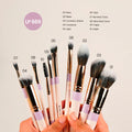 kit de Brochas Montoc