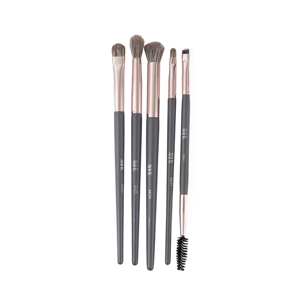 Kit de brochas Anik